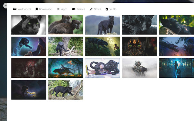 Panthers Wallpaper New Tab Theme [Install]  from Chrome web store to be run with OffiDocs Chromium online